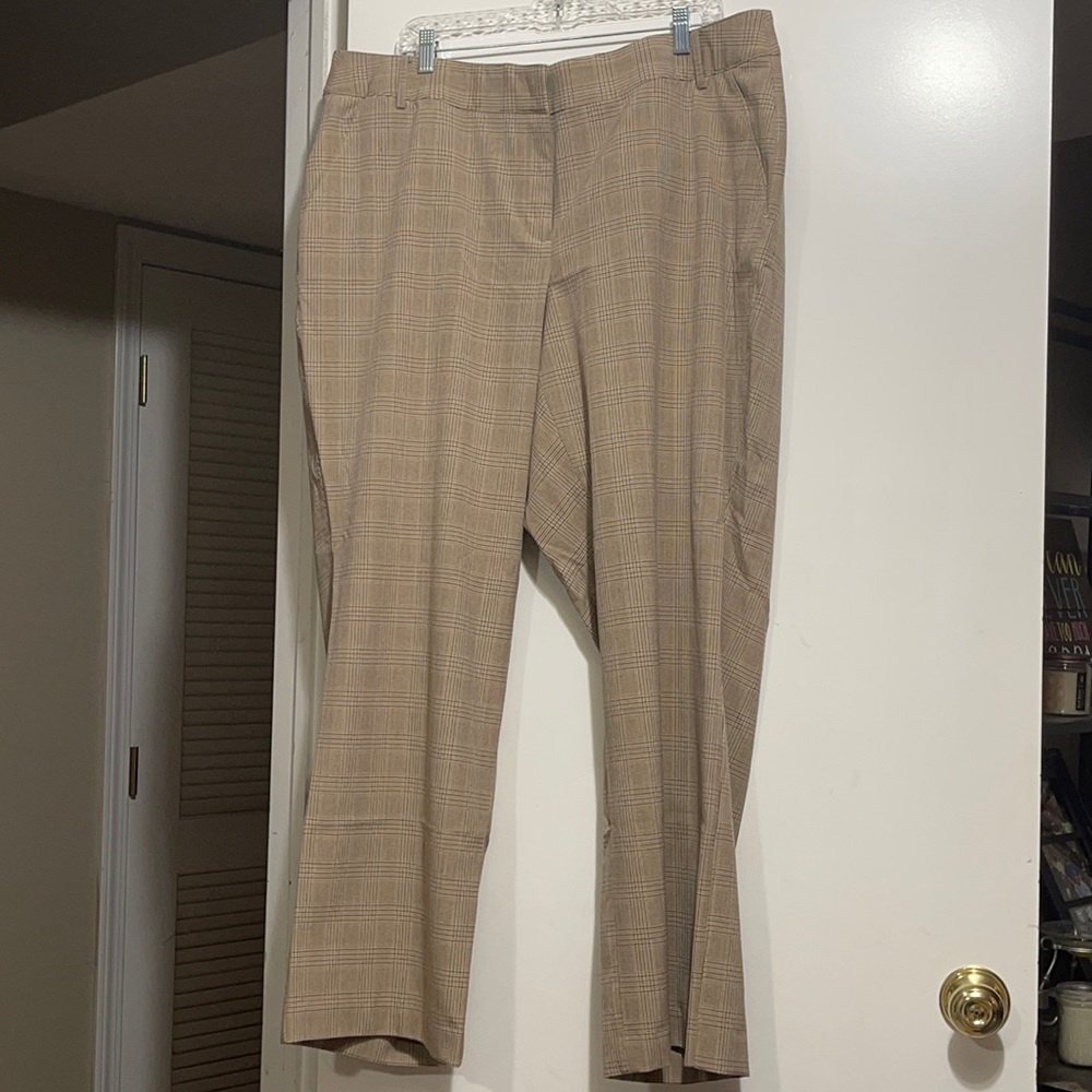 Women’s dress pants